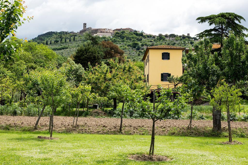Casale Vacanze Il Granaio Cortona Kültér fotó